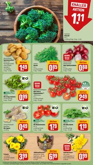 Blumen im REWE Prospekt "Dein Markt" mit 16 Seiten (Stuttgart)