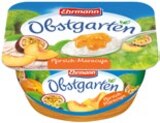Obstgarten Angebote von Ehrmann bei Kaufland Bremen für 0,49 €