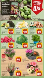 Rosenkohl Angebot im aktuellen REWE Prospekt auf Seite 11
