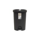 Poubelle "STEPY" 27L - CARREFOUR HOME - Carrefour à Rennes Poubelle "STEPY" 27L - CARREFOUR HOME en promo chez Carrefour Rennes à 12,79 €