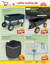 Blumentopf im Netto Marken-Discount Prospekt in München Aktueller Netto Marken-Discount Prospekt mit Blumentopf, "Aktuelle Angebote", Seite 41