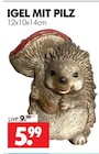 Aktuelle Pilze Angebote bei Wreesmann in Dresden Aktuelles IGEL MIT PILZ Angebot bei Wreesmann in Dresden ab 5,99 €