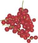 Rote Johannisbeeren im V-Markt Prospekt Rote Johannisbeeren von im aktuellen V-Markt Prospekt für 2,49 €