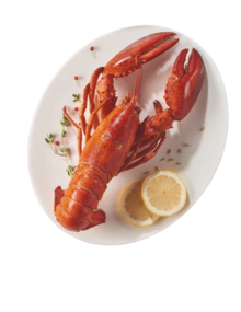 Aldi Piscop - Homard canadien entier cuit Promo Homard canadien entier cuit dans le catalogue Aldi "Un Noël tout simplement gourmet !" à Piscop
