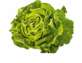 Netto Marken-Discount Schwarzach - Kopfsalat Angebot im Prospekt Kopfsalat bei Netto Marken-Discount im Schwarzach Prospekt für 0,69 €