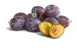 Penny Hettenleidelheim - Deutsche Zwetschgen Angebot im Prospekt Deutsche Zwetschgen bei Penny im Hettenleidelheim Prospekt für 1,99 €