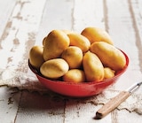 Pomme de terre de consommation à chair ferme - U - Super U à Tarbes Pomme de terre de consommation à chair ferme - U en promo chez Super U Tarbes à 2,25 €