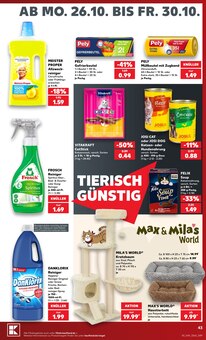 Felix Katzenfutter im aktuellen Kaufland Prospekt (Chemnitz) Felix Katzenfutter im Kaufland Prospekt "Hier bin ich richtig" mit 76 Seiten (Chemnitz)