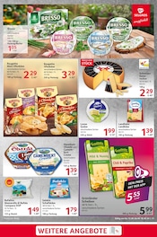 Aktueller Selgros Prospekt mit Käse, "cash & carry", Seite 11