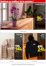 Offre Orchidée dans le catalogue Carrefour du moment à la page 81
