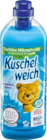 Aktuelles Weichspüler Angebot bei Netto Marken-Discount in Frankfurt (Main) ab 0,99 €