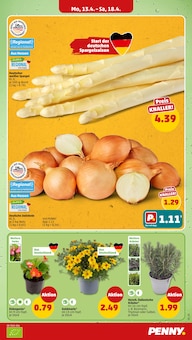 Spargel im Penny Prospekt "Wer günstig will, muss Penny." mit 42 Seiten (Wiesbaden)