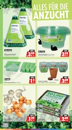 Pflanzen Angebot im aktuellen Mäc-Geiz Prospekt auf Seite 10
