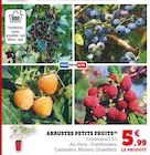 Arbustes Petits Fruits dans le catalogue Super U