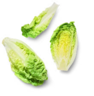 Kaufland Zinna Prospekt mit  im Angebot für 0,79 €