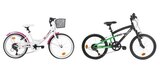 Vélo City 20" Panier Fille ou VTT 20" FS - TOP LIFE - Carrefour à Sarcelles Vélo City 20" Panier Fille ou VTT 20" FS - TOP LIFE en promo chez Carrefour Sarcelles à 169,99 €