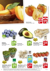 Aktueller EDEKA Prospekt mit Bio, "Aktuelle Angebote", Seite 4
