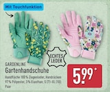 Gartenhandschuhe Grün Angebote von Gardenline bei ALDI Nord Herne für 5,99 €