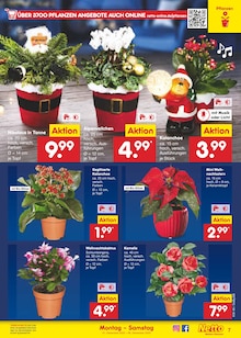 Blumen im aktuellen Netto Marken-Discount Prospekt (Augsburg) Blumen im Netto Marken-Discount Prospekt "Aktuelle Angebote" mit 59 Seiten (Augsburg)