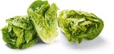 Aktuelles Mini Romana Salat Angebot bei Netto Marken-Discount in Remscheid ab 1,00 €
