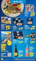 Steine Angebot im aktuellen Lidl Prospekt auf Seite 58