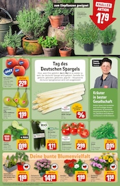 Ähnliche Angebote wie Chrysantheme im Prospekt "Dein Markt" auf Seite 7 von REWE in Köln