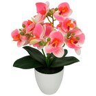 Pot Orchidée Artificielle en promo chez Auchan Hypermarché Aubervilliers à 3,99 €