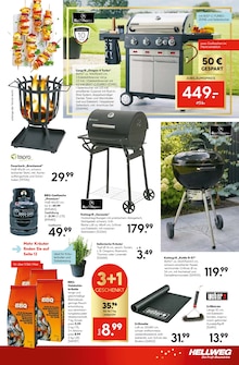 Gasgrill im Hellweg Prospekt "Jubiläums-angebote" mit 16 Seiten (Chemnitz)