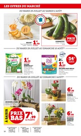 Plantes Angebote im Prospekt "U Express" von U Express auf Seite 16