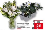 Floristenstrauß Premium im Angebot bei Marktkauf in Schorndorf Floristenstrauß Premium Angebote bei Marktkauf Schorndorf für 6,99 €