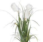 Dekogras Angebote bei Möbelzentrum Pforzheim Sindelfingen für 9,99 €