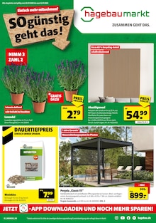 Aktueller Hagebaumarkt Prospekt (Kallmünz, 16 Seiten zum blättern Hagebaumarkt Prospekt SO günstig geht das! mit 16 Seiten