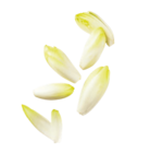 Jeunes pousses d'endives dans le catalogue Aldi