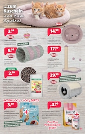 Aktueller Kiebitzmarkt Prospekt mit Kinderspielzeug, "Unsere Highlights zu Ostern!", Seite 11