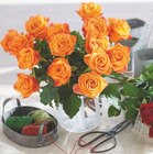 Bouquet 15 roses 50 cm en promo chez Intermarché Antony à 7,99 €
