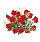 Großer Rosenstrauß im aktuellen Netto mit dem Scottie Prospekt