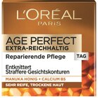 Age Perfect Pro-Kollagen Experte oder Extra-Reichhaltig Tages- oder Nachtpflege von L'Oréal Paris im aktuellen Rossmann Prospekt für 9,45 €