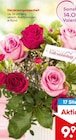 Herzensangelegenheit Angebote bei Netto Marken-Discount Heilbronn für 9,99 €
