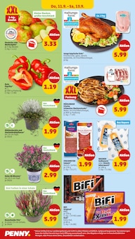 Grillfleisch im Penny Prospekt "Wer günstig will, muss Penny." mit 33 Seiten (München)
