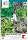 Plantes aromatiques bio - U en promo chez Super U Strasbourg à 3,79 €