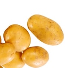 Aktuelle Kartoffeln Angebote bei Kaufland in Wuppertal Aktuelles Speisekartoffeln Angebot bei Kaufland in Wuppertal ab 3,99 €