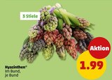 Hyazinthen im Angebot bei Penny in Castrop-Rauxel Hyazinthen Angebote bei Penny Castrop-Rauxel für 1,99 €