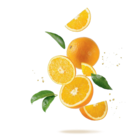 Sangria im Lidl Prospekt Sangria von Sol & Mar im aktuellen Lidl Prospekt für 1,79 €