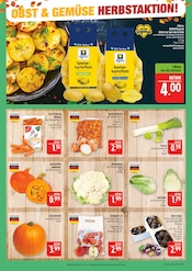 Aktueller Marktkauf Prospekt mit Kürbis, "AUSWAHL RIESIG, PREISE NIEDRIG", Seite 10