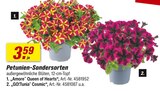 Angebot im toom Baumarkt Wangen (AllgĂ€u) Prospekt toom Baumarkt Wangen (AllgĂ€u) Prospekt mit im Angebot fĂŒr 3,59 âŹ