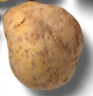 Speisekartoffeln Angebote bei Kaufland Nettetal für 0,79 €