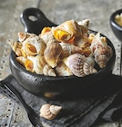 Promo Bulots cuits natures à 6,90 € dans le catalogue Intermarché Super à Jarny