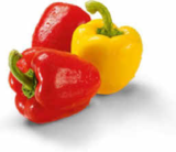 Aktuelles Bio Paprika Mix Angebot bei Netto Marken-Discount in Magdeburg