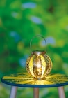 GARDEN DREAM Solar-Gartenlaterne Angebote bei Netto mit dem Scottie Lutherstadt Wittenberg für 8,99 €