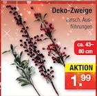 Deko-Zweige im Angebot bei Zimmermann in Wiesbaden Deko-Zweige Angebote bei Zimmermann Wiesbaden für 1,99 €